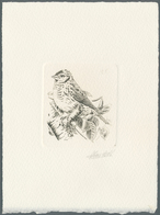 11186B Thematik: Tiere-Vögel / Animals-birds: 1992, Belgium. Epreuve D'artiste Signée In Black For The Stam - Sonstige & Ohne Zuordnung