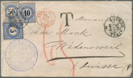 11610 Argentinien: 1879 Cover From The Swiss Conulate In Buenos Aires To Wädensweil, Switzerland Without F - Sonstige & Ohne Zuordnung