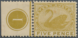 11681 Westaustralien: 1905, Black Swan 5d. Bistre With Wmk. V Over Crown Perf. 12½ X 12 From Left Margin W - Storia Postale