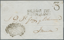 12243 Mexiko: 1843, Complete Folded Letter Cover With Double-line Strike SALINAS DEL / PENON BLANCO, Along - Mexique