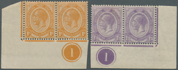 12486 Südafrika: 1913/1922, KGV Definitives Unusual Group With 11 Single Stamps, Two Pairs And Three Block - Altri & Non Classificati