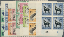 12490 Südafrika: 1954, Animals ½ D To 10 Sh Complete Set Of 14 Values In Blocks Of Four, All Mint Never Hi - Sonstige & Ohne Zuordnung