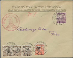 16421 Ungarn - Besetzte Gebiete: Baranya: 1919, PROVISIONAL POSTAGE DUES: Group Of 5 Local Philatelic Cove - Baranya