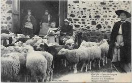 CPA Région Creuse Au Pays Creusois Non Circulé Métier Moutons Guéret - Autres
