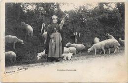 CPA Région Creuse Au Pays Creusois Circulé Métier Moutons Fileuse Bergère - Other