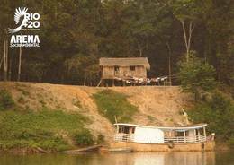 BRAZIL -  Amazon Rainforest Biome  Postcard -  Rio +20  Conference For Sustainable Development -  2012 - Manaus