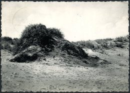 CP   Oostduinkerke   ---   Dunes... - Oostduinkerke