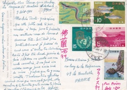 JAPON  :  Divers Sur Carte Postale De 1966 - Covers & Documents