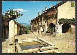 ERLACH BE Cerlier Seeland Altstadt Brunnen 1969 - Cerlier