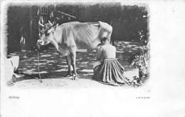 Thème:  Métier. Lait.Laiterie.  Milking. Traite D'une Vache      (voir Scan) - Andere & Zonder Classificatie