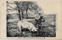 CPA Région Périgord Dordogne Cochon Truffier Pig Truffes Champignon Mushroom Métier Circulé - Autres