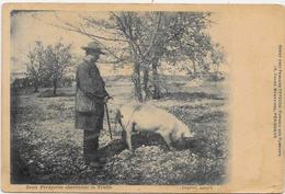 CPA Région Périgord Dordogne Cochon Truffier Pig Truffes Champignon Mushroom Métier Non Circulé - Autres