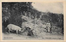 CPA Région Périgord Dordogne Cochon Truffier Pig Truffes Champignon Mushroom Métier Non Circulé - Autres