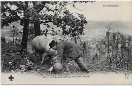 CPA Région Périgord Dordogne Cochon Truffier Pig Truffes Champignon Mushroom Métier Non Circulé - Autres