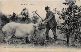 CPA Région Périgord Dordogne Cochon Truffier Pig Truffes Champignon Mushroom Métier Non Circulé - Altri
