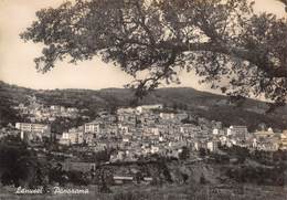 07765 "(NUORO) LANUSEI - PANORAMA" ISTIT. SALESIANO S. EUSEBIO, VERA FOTOGRAFIA. CART NON SPED - Nuoro