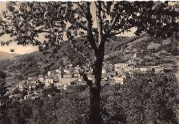 07781 "(NUORO) ARITZO - VISTA DA GIDILAU" PANORAMA. VERA FOTO AUROSMALTO. CART  SPED 1941 - Nuoro