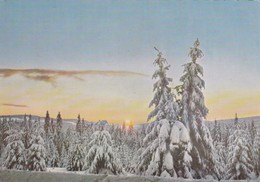 Postcard Sonnenuntergang Im Verschneiten Oberharz  My Ref  B22592 - Oberharz