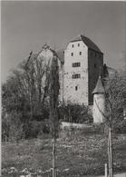 Schloss Wildegg - Bergfried Und Palas - Wildegg