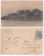 Viareggio - La Pineta, Viaggiata 1914 - Viareggio