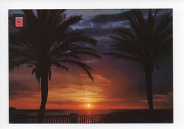 Delcampe - Espagne: Valencia, Albufera, Contraluz (18-1424) - Valencia