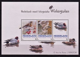 2017 Netherlands Birds Full Block Of 3 MNH - Ungebraucht