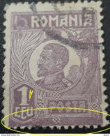 Error Stampe  ROMANIA 1920 KING FERDINAND, VARIETY ERROR,  1 LEU, Stain COLOR At Frame Down,misplaced Perforation Image - Errors, Freaks & Oddities (EFO)