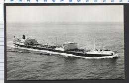 S.S PHILINE  Reder Shell Tanker 1959  -   See The 2  Scans For Condition. (Originalscan !!) - Tankers