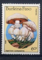 BURKINA FASO CHAMPIGNONS, CHAMPIGNON, MUSHROOM, Setas  Yvert N° 679  MNH, ** - Mushrooms