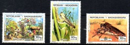 MADAGASCAR Insectes, Insecte, Insect, Insects, Insectos, Insekten, YVERT N° 1425/27 **. MNH - Otros & Sin Clasificación