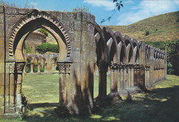 Soria - Arcos De San Juan De Duero - Soria