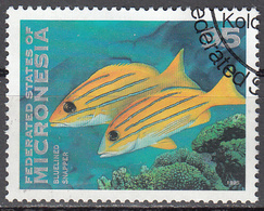 MICRONESIA    SCOTT NO. 223   USED         YEAR  1996 - Micronesia