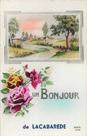 Souvenir - Un Bonjour De Lacabarède, Village, Bouquet De Roses - Carte REX N° 2128 Non Circulée - Souvenir De...