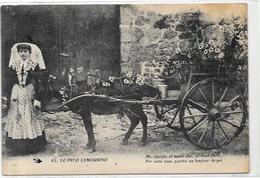 CPA Ane Anes Donkey écrite Métier Limousin - Donkeys