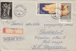 SCULPTURE, PIGS, TRAIIN, AUREL VLAICU, PLANES, STAMPS ON REGISTERED COVER, 1964, ROMANIA - Briefe U. Dokumente