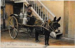 CPA Ane Anes Donkey Circulé Métier Attelage Vichy - Anes