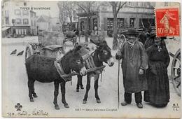 CPA Ane Anes Donkey Circulé Métier Auvergne - Donkeys