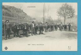 CPA 293 - Attlages Boeufs Retour Des Champs L'AUVERGNE 15 - Autres & Non Classés