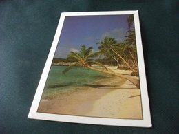 STORIA POSTALE FRANCOBOLLO REPUBBLICA DOMENICANA PUNTA CANA  SPIAGGIA PALME - Dominique