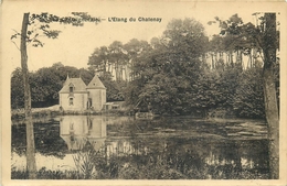 85 - LA CHATAIGNERAIE - VENDEE - L'ETANG DU CHATENAY - VOIR SCANS - La Chataigneraie