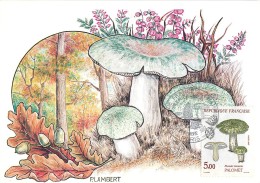 1ER JOUR -  CHAMPIGNONS - PALOMET - Mushrooms