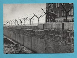 Allemagne Deutschland  DDR Berlin Mur Alte Mauer Beobachtet - Berliner Mauer