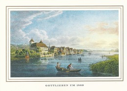 Gottlieben - Illustration Um 1860            Ca. 1980 - Gottlieben