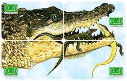 CROCODILE PUZZLE OF 4 PHONE CARDS - Crocodiles And Alligators