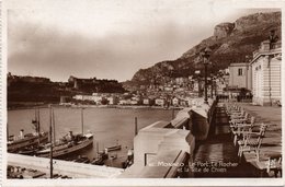 MONACO-LE PORT,LE ROCHER ET TETE DE CHIEN-1931 - Kathedraal Van Onze-Lieve-Vrouw Onbevlekt Ontvangen