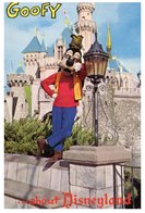 (145) USA - Disneyland Goofy - Disneyland