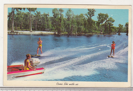 USA Uncirculated Postcard - Water Skiing - Ski Nautique