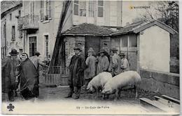 CPA Cochon Pig Métier Circulé Marché Auvergne - Schweine
