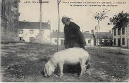 CPA Cochon Pig Métier Non Circulé Bretagne Marché - Cochons