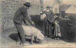 CPA Cochon Pig Métier Non Circulé Bretagne Saint Brieuc - Schweine
